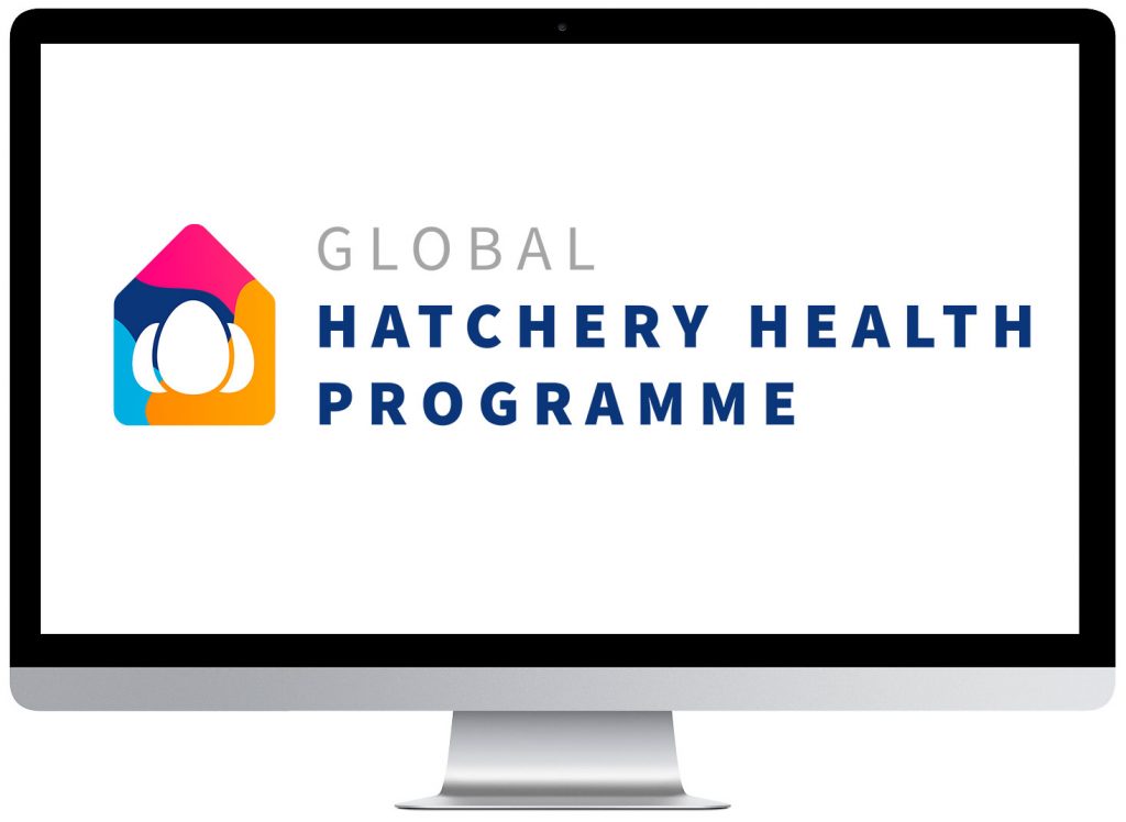 Gumboro IBD - hatchery health program