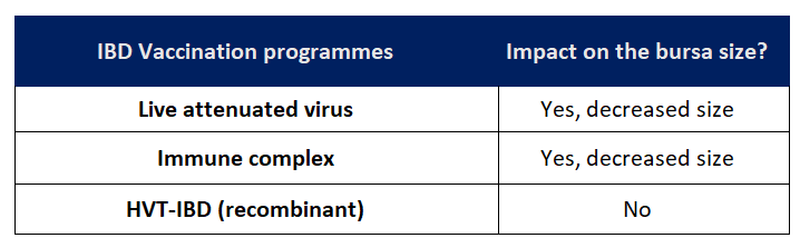  IBD vaccination programmes