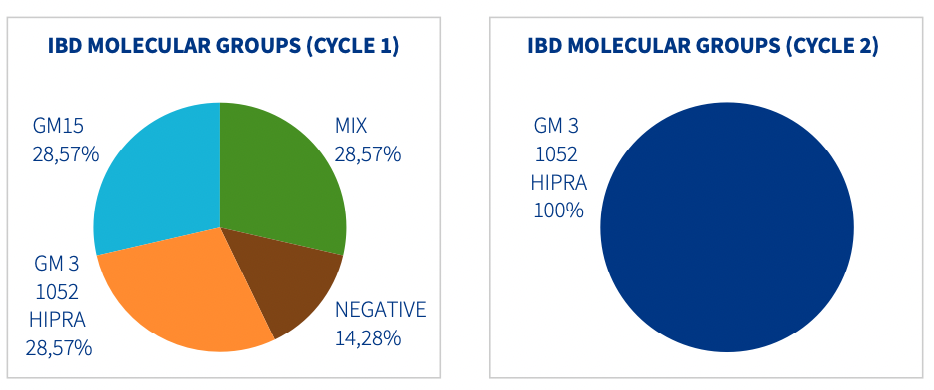 PCR results as percentage positivity of the bursal samples analyzed in Cycle 1 and Cycle 2