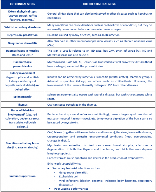 Differential diagnosis of IBD symptoms in poultry